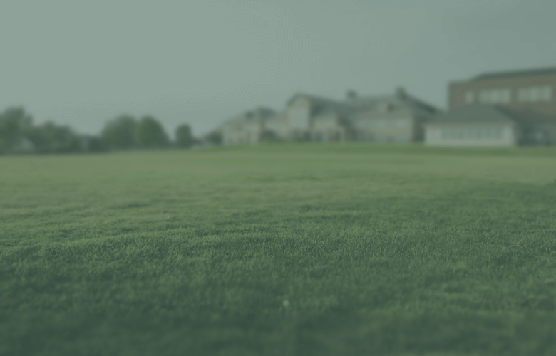 Green Challenge fra BioMassProtein om at anvende gr&aelig;sproteiner i f&oslash;devarer