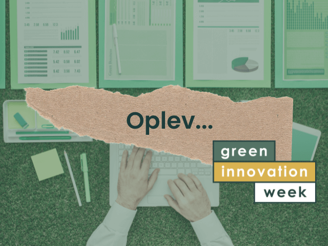 Hvordan vurderer en kapitalfond din forretningsid&eacute;?